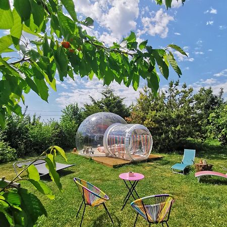 Champmotteux La Bulle Des Champs Bed & Breakfast エクステリア 写真
