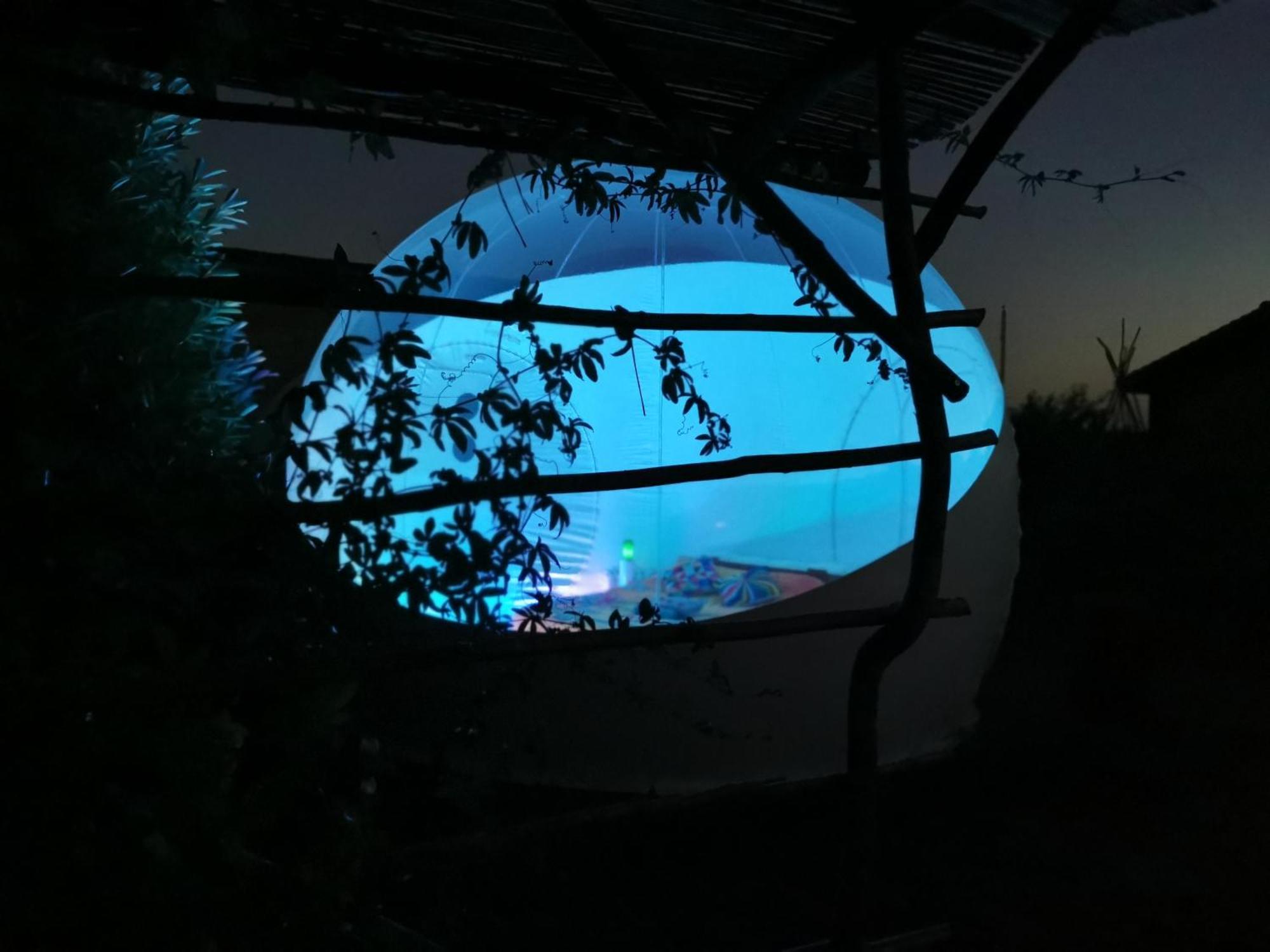 Champmotteux La Bulle Des Champs Bed & Breakfast 部屋 写真